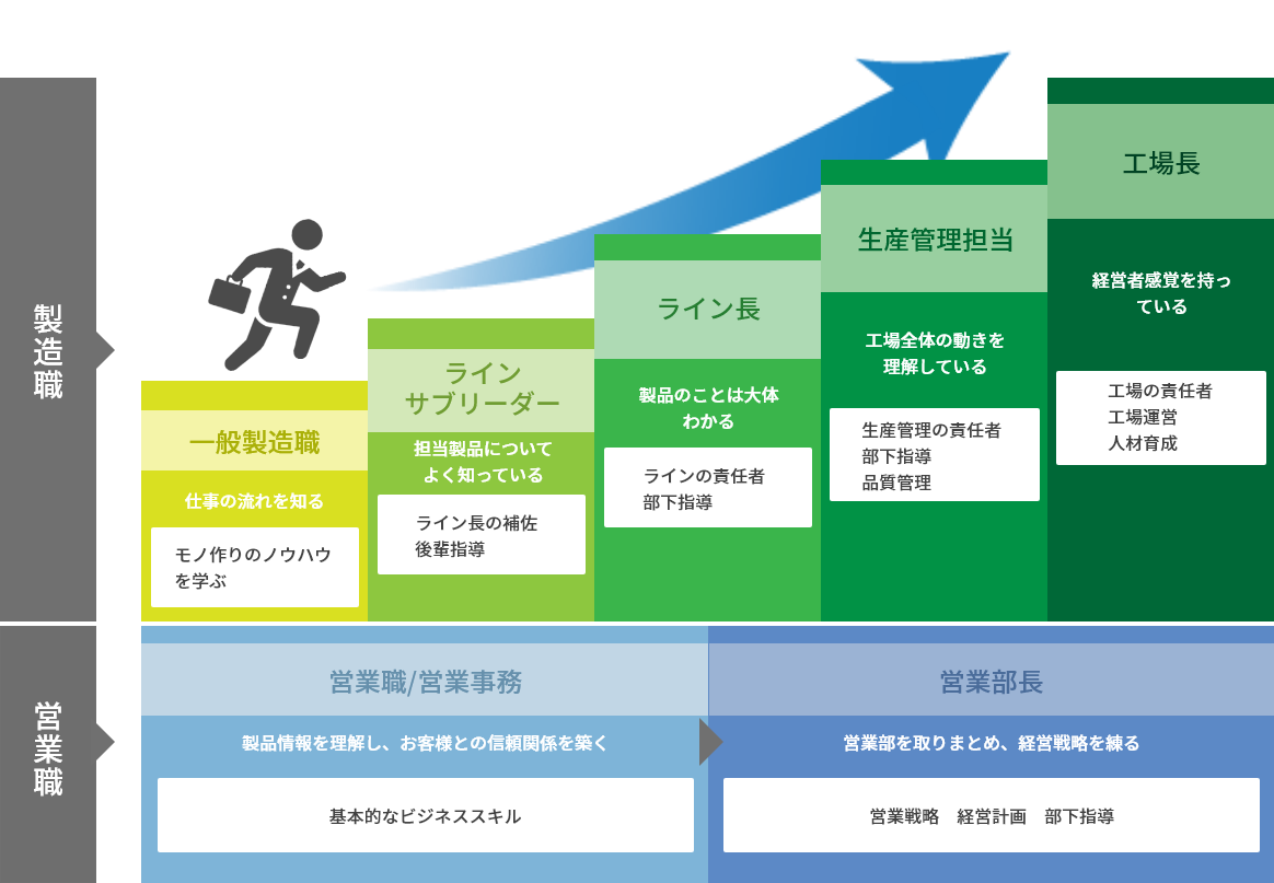 マルフジ建材のキャリアパス